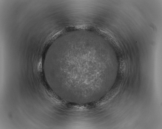 X0000112170502200908211429