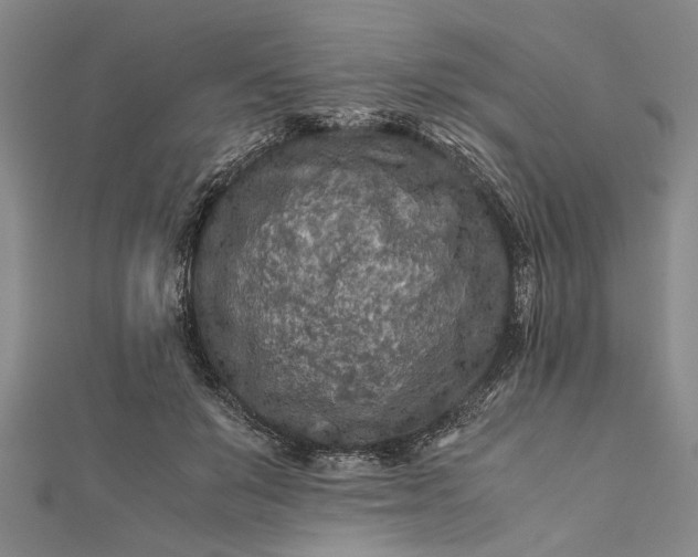 X0000112170503200908211429