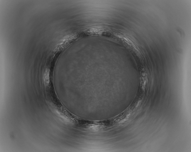 X0000112170504200908211429