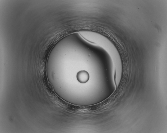 X0000112170505200908211429