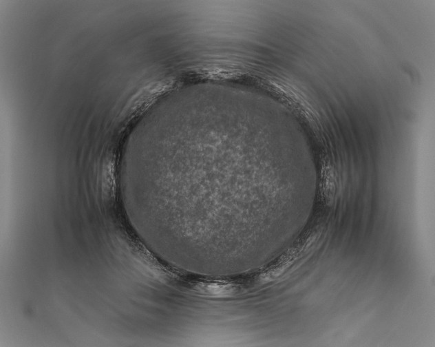 X0000112170506200908211429