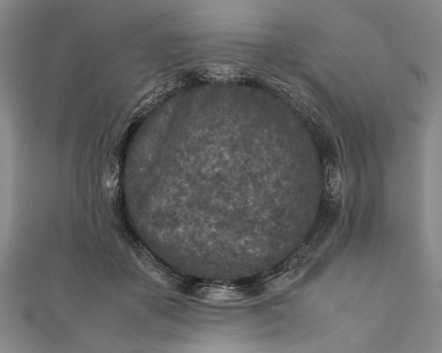 X0000112170507200908211429