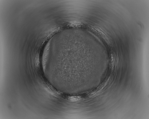 X0000112170508200908211429