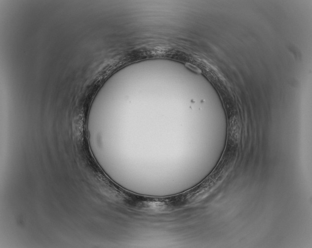 X0000112170509200908211429