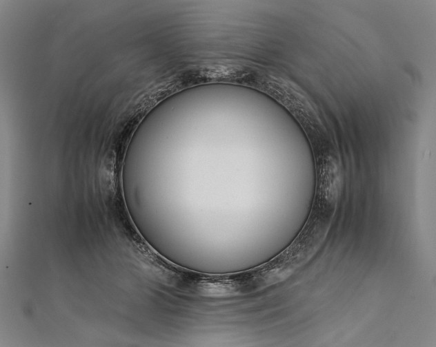 X0000112170510200908211429