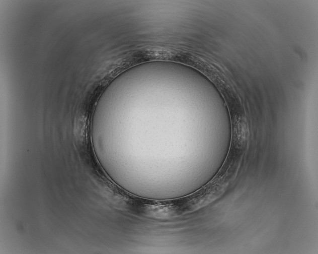 X0000112170511200908211429