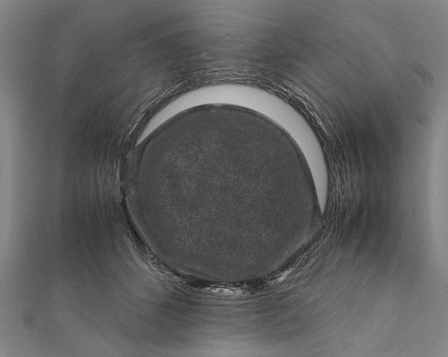 X0000112170512200908211429