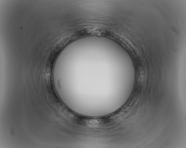 X0000112170513200908211429