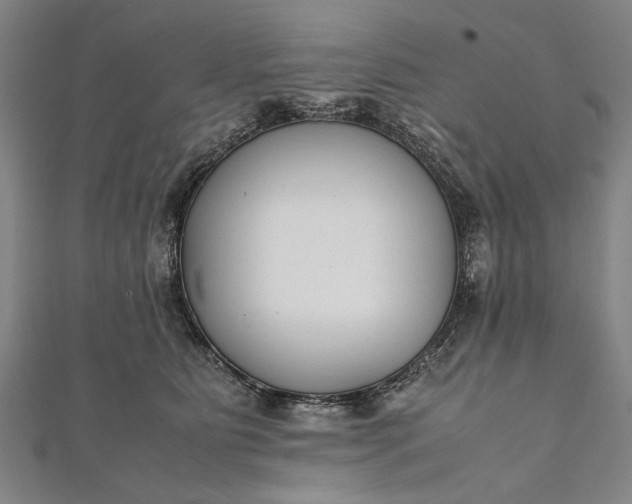 X0000112170515200908211429