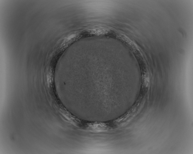 X0000112170517200908211429