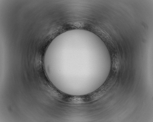 X0000112170518200908211429