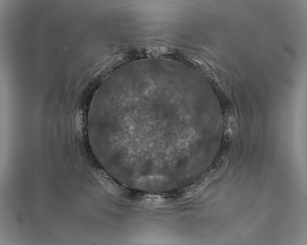 X0000112170519200908211429