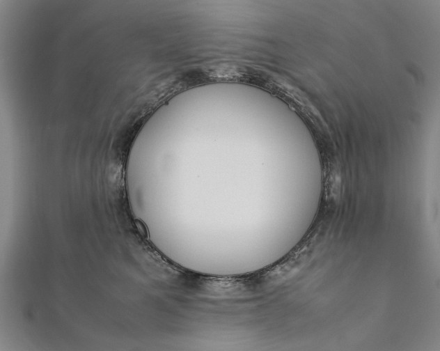 X0000112170521200908211429