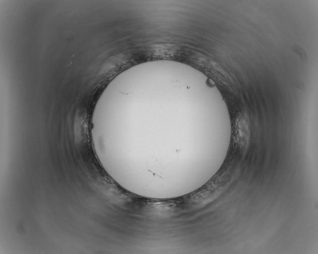 X0000112170522200908211429