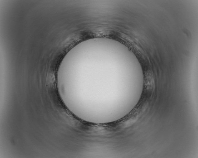 X0000112170523200908211429