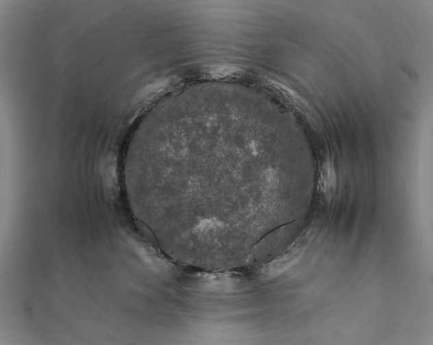 X0000112170524200908211429