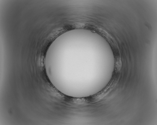 X0000112170525200908211429