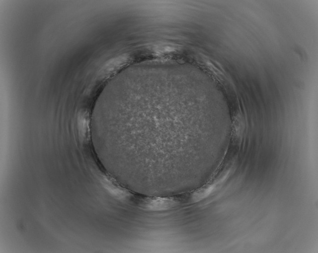 X0000112170527200908211429