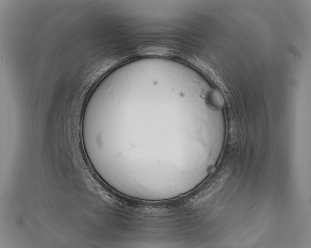 X0000112170529200908211428