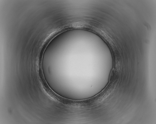 X0000112170530200908211428