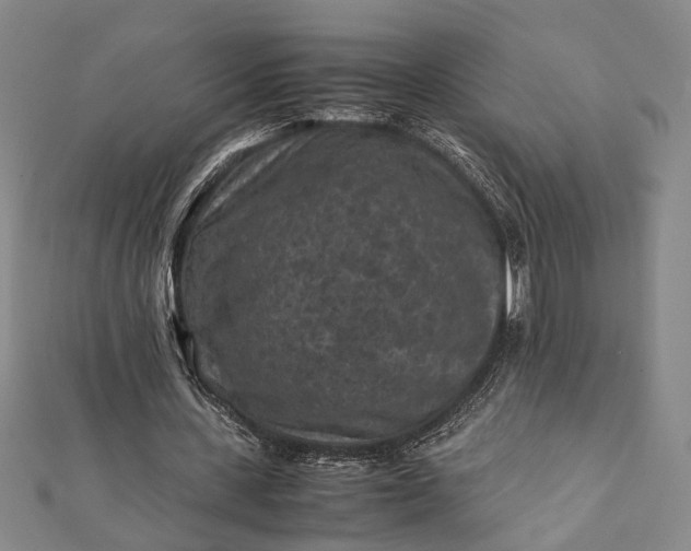 X0000112170531200908211428