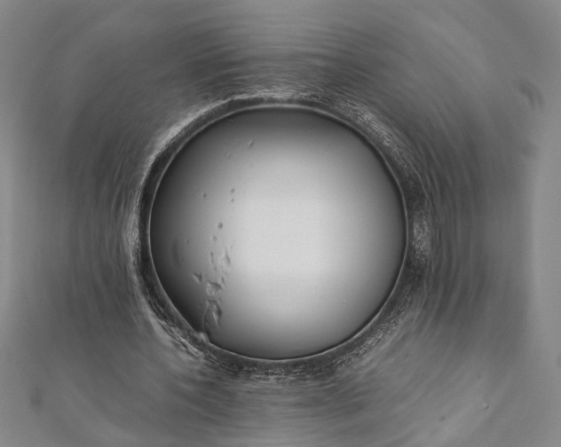 X0000112170532200908211428