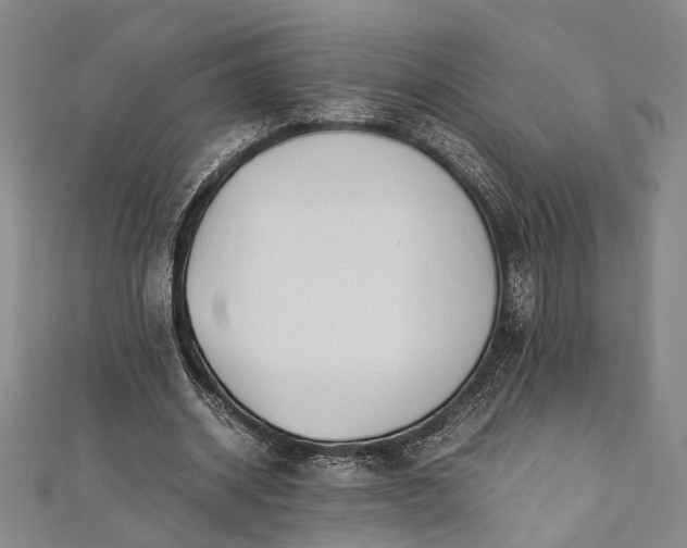 X0000112170534200908211428