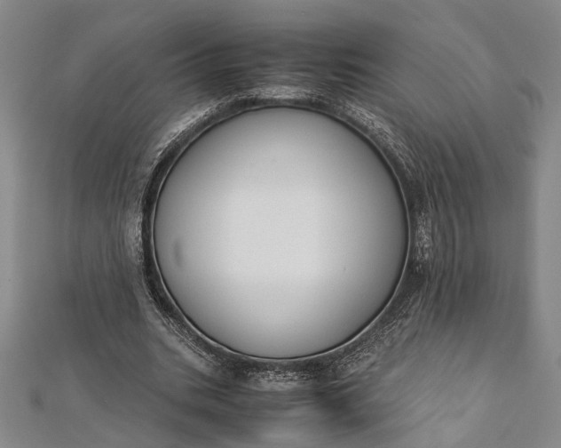 X0000112170535200908211428