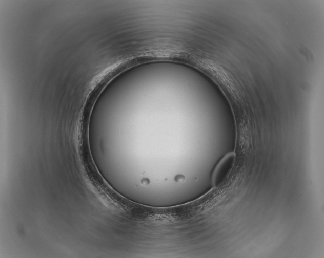 X0000112170536200908211428