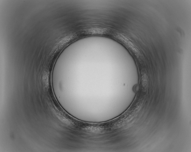 X0000112170537200908211428