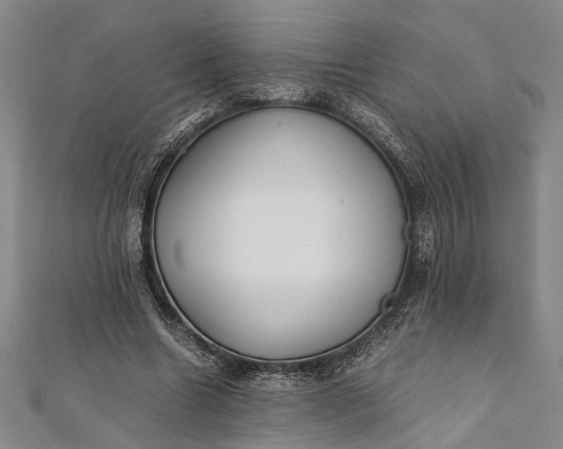 X0000112170538200908211428