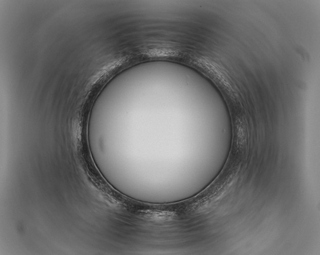 X0000112170539200908211428