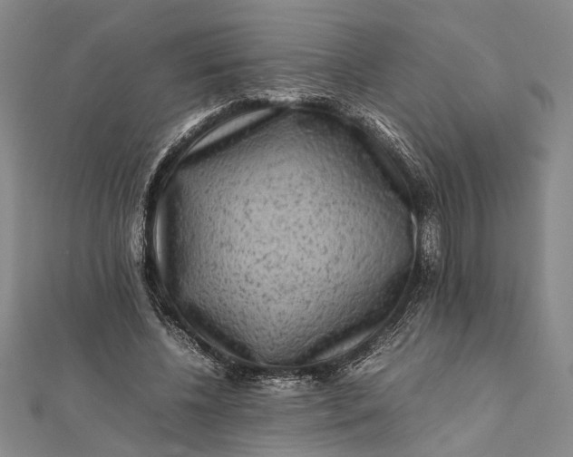 X0000112170540200908211428