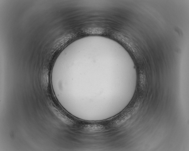 X0000112170541200908211428