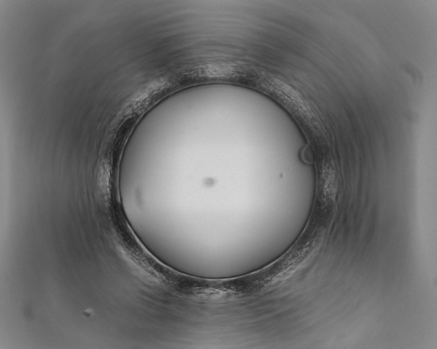 X0000112170542200908211428