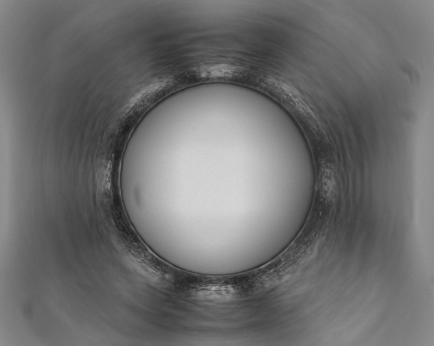 X0000112170543200908211428