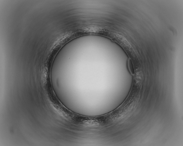 X0000112170544200908211428