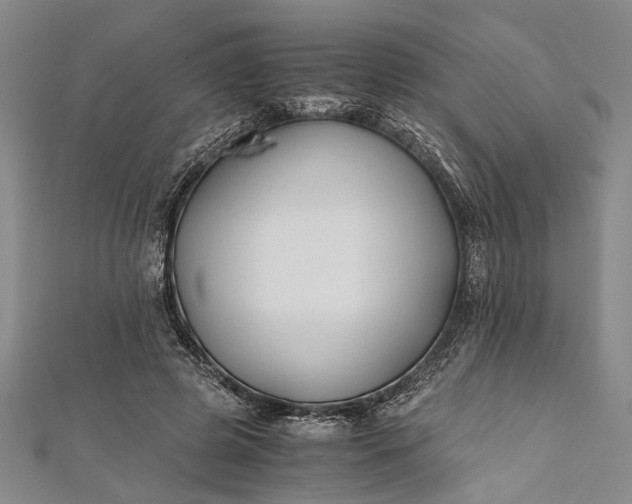 X0000112170545200908211428