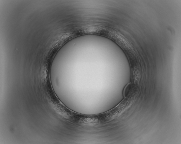 X0000112170546200908211428