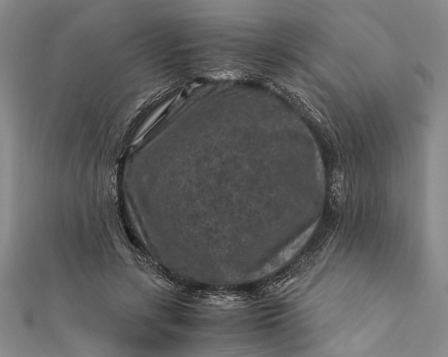 X0000112170547200908211428