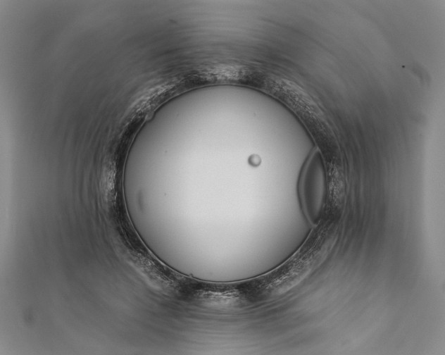 X0000112170548200908211428