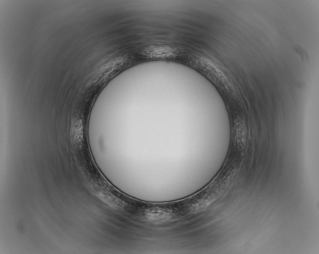 X0000112170549200908211428