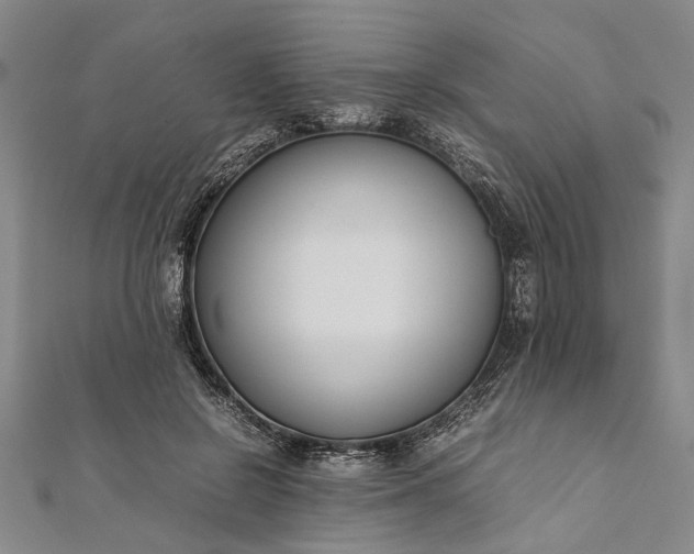 X0000112170550200908211428