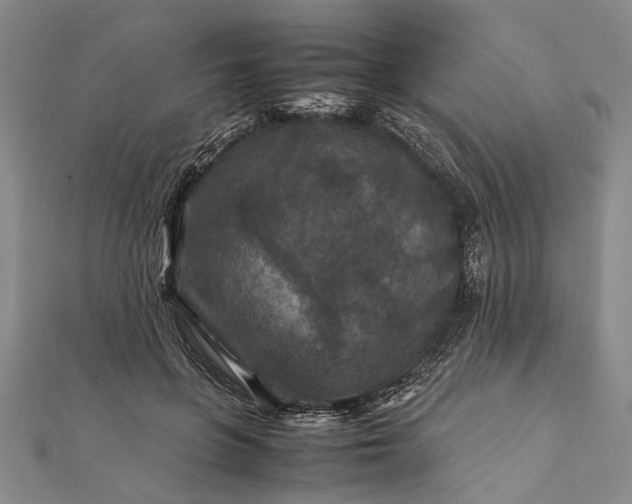 X0000112170551200908211428