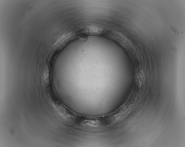 X0000112170552200908211428