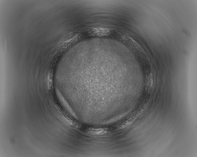 X0000112170553200908211429