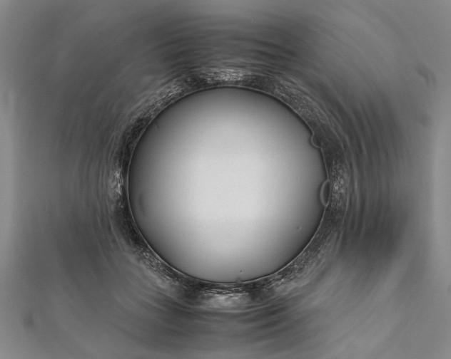 X0000112170555200908211429