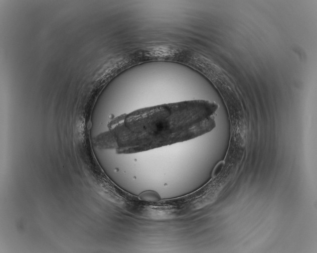 X0000112170556200908211429