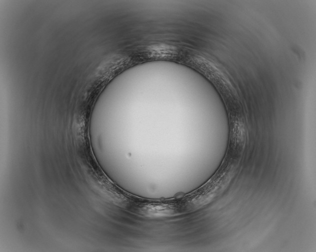 X0000112170557200908211429