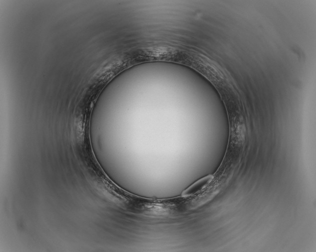 X0000112170558200908211429